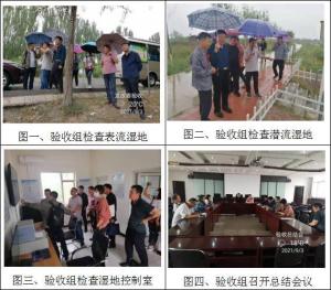靈武市東溝人工濕地項目順利完成項目驗收
