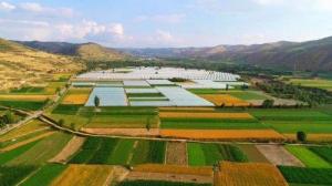 會寧:特色產業助力鄉村振興